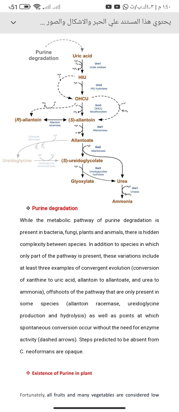 Plant purine