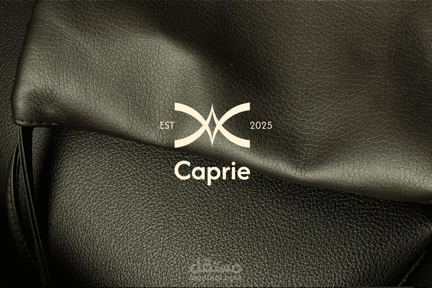 تصميم هوية بصرية تجارية متكاملة لعلامة Caprie