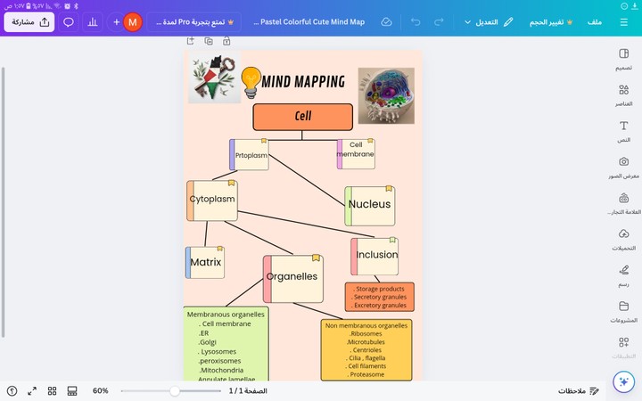 تصميم mind maps