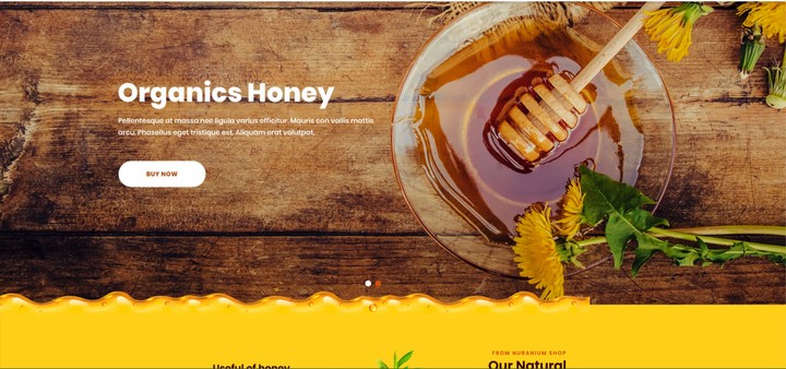 موقع لبيع  العسل  الطبيعي و النحل