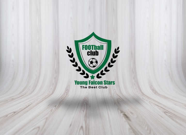 تصميم شعار لنادى رياضى  young falcon stars