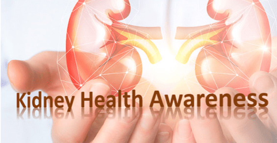 مقال بحثي عن  التوعية الصحية للكلى Kidney Health Awareness