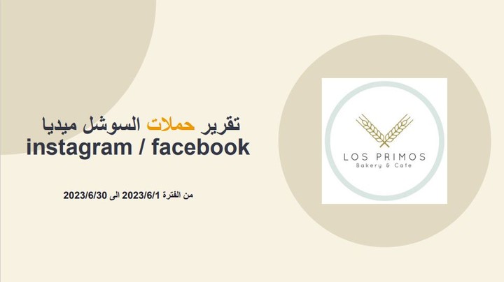 تقرير حملات السوشل ميديا   instagram / facebook