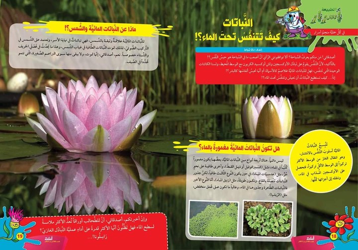 كتابة وتنسيق محتوى للأطفال في مجلة للأطفال حول النباتات