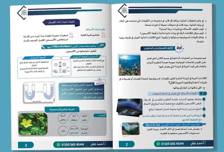 إعداد نماذج امتحانات تقييمية لطلاب المرحلة الاعدادية