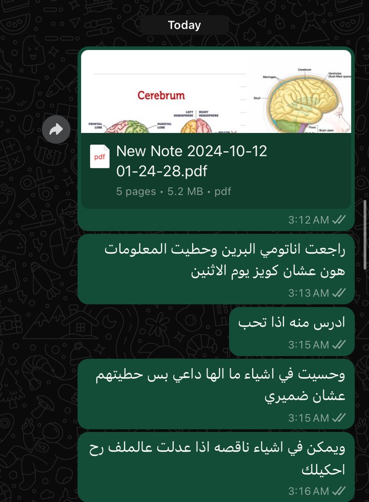 ملخص شامل عن أناتومي الدماغ عبر تطبيق Collanote