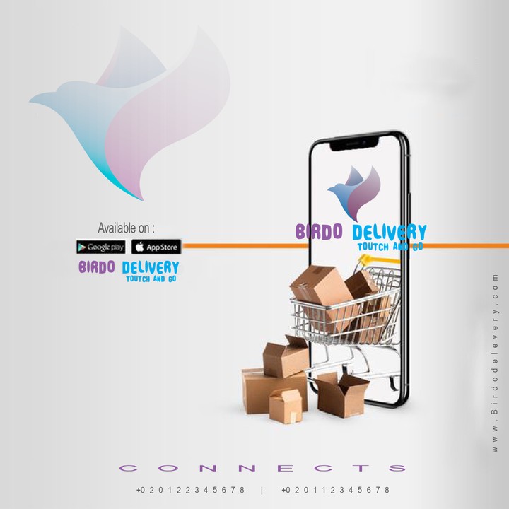 bird delivery هوية بصرية شركة توصيل طلبات