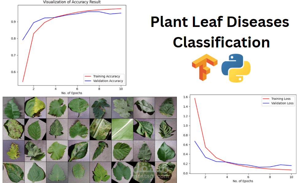 Plant Leaf Diseases Classification