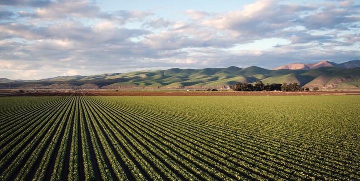 Study of the Effects of Climate Change on Crop Yields