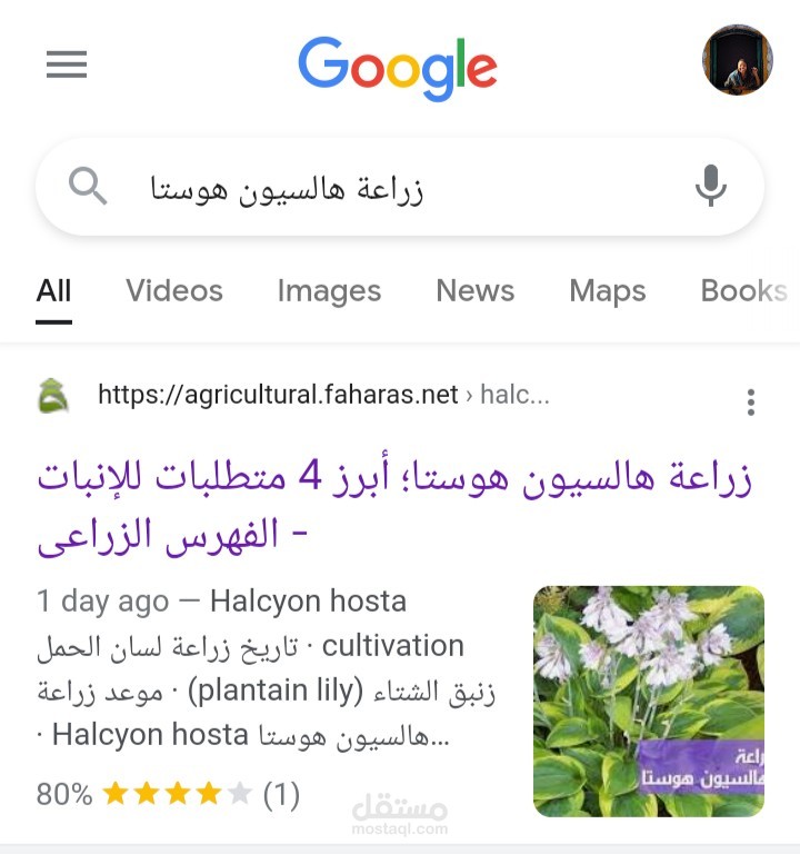 كتبت مقالة عن زراعة هالسيون هوستا