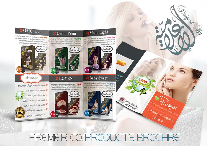 Premier Co. a tri fold brochure