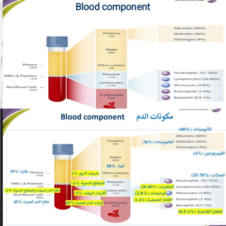 ترجمة علمية