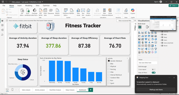 fitbit company analysis