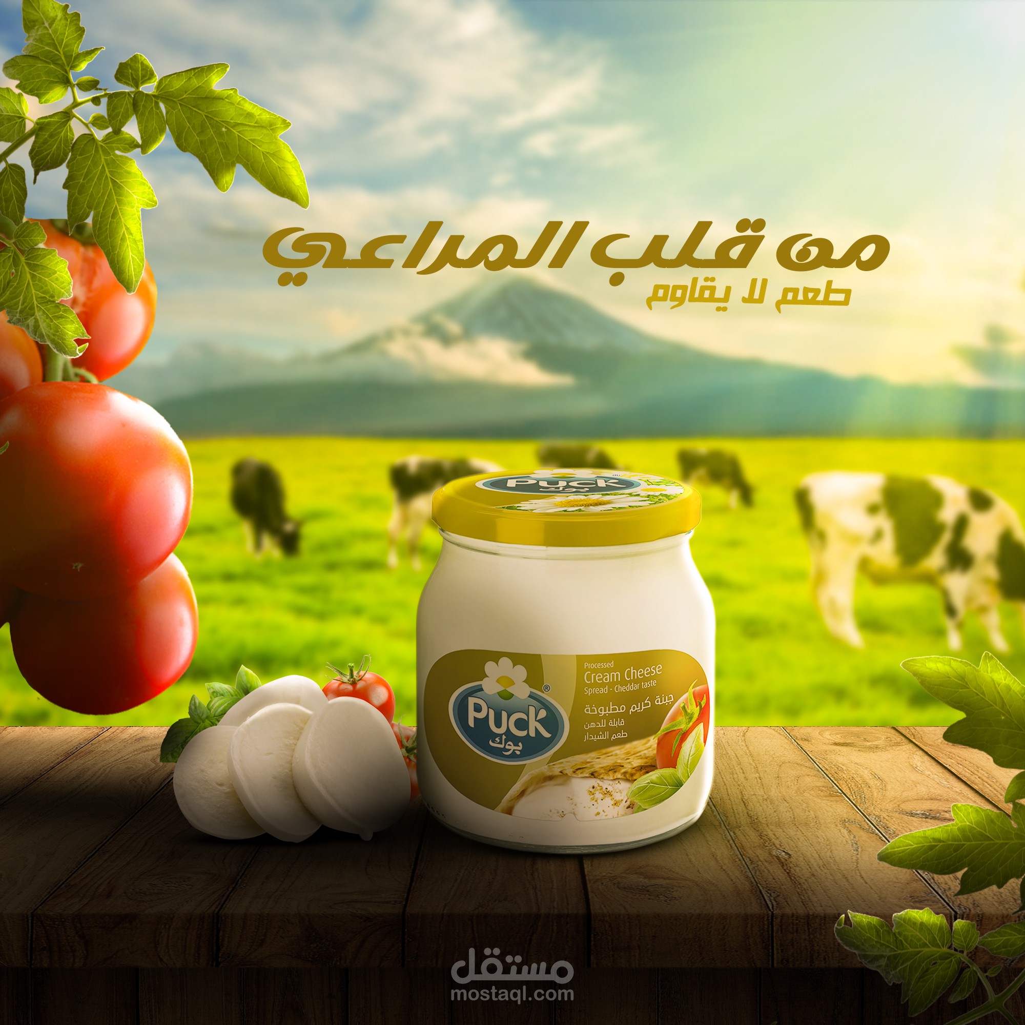 Social Media Ads Design (cheese)