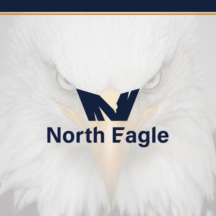 NORTH EAGLE PRESENTATION LOGO