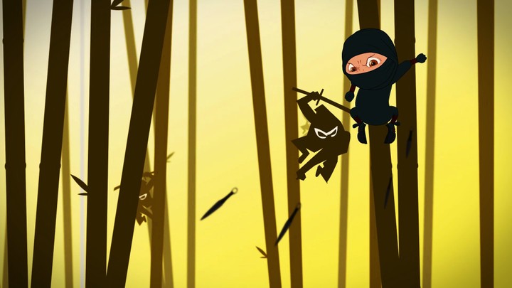 2D Ninja Fighting Moves for 2D Game