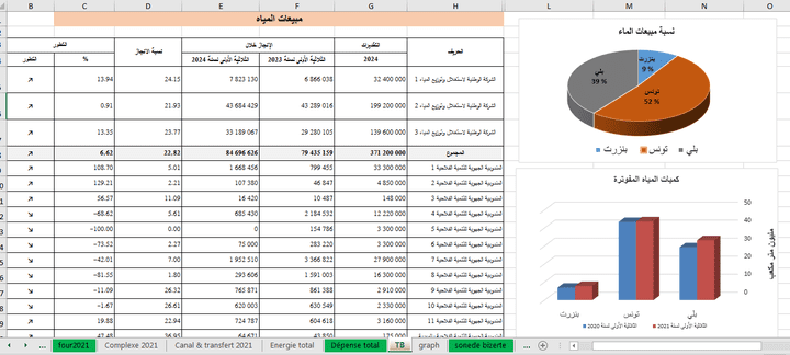 إدراج بيانات وتنظيمها على Excel مع إعداد رسومات توضيحية