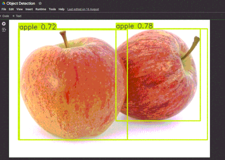 Object Detection