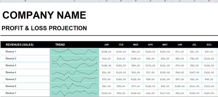 profit and loss income statement