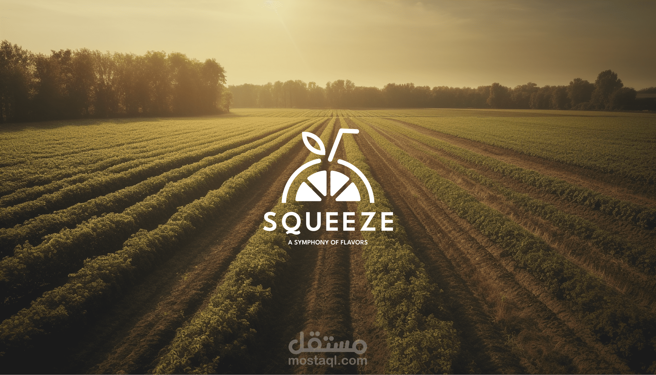 تصميم شعار متين واحترافي لشركة SQUEEZE