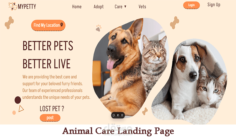 تصميم وتطوير موقع خدمات رعاية الحيوانات الأليفة