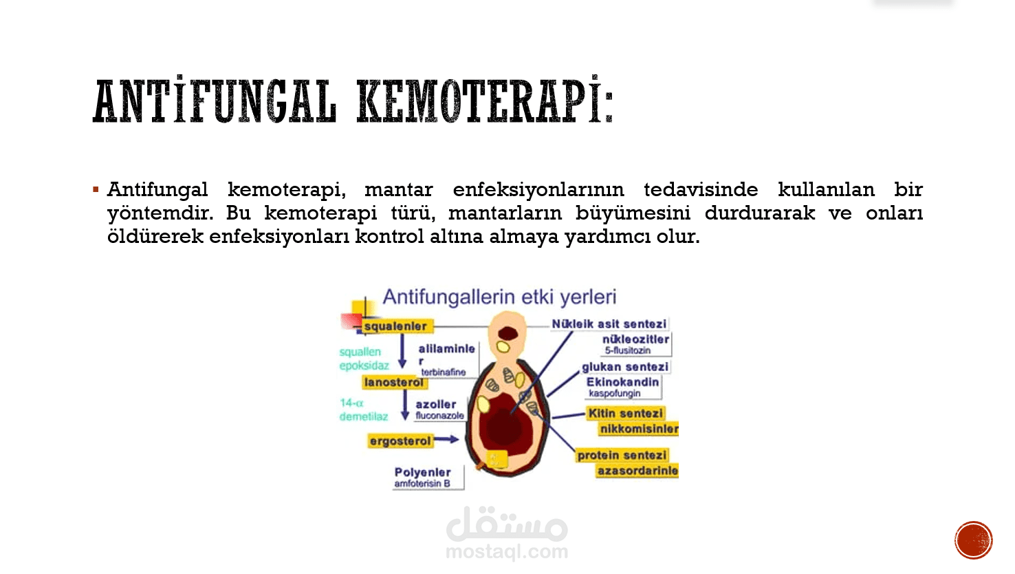 حلقة بحث للجامعة