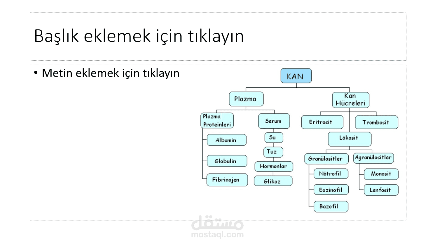 كتابة وتصميم حلقة بحث