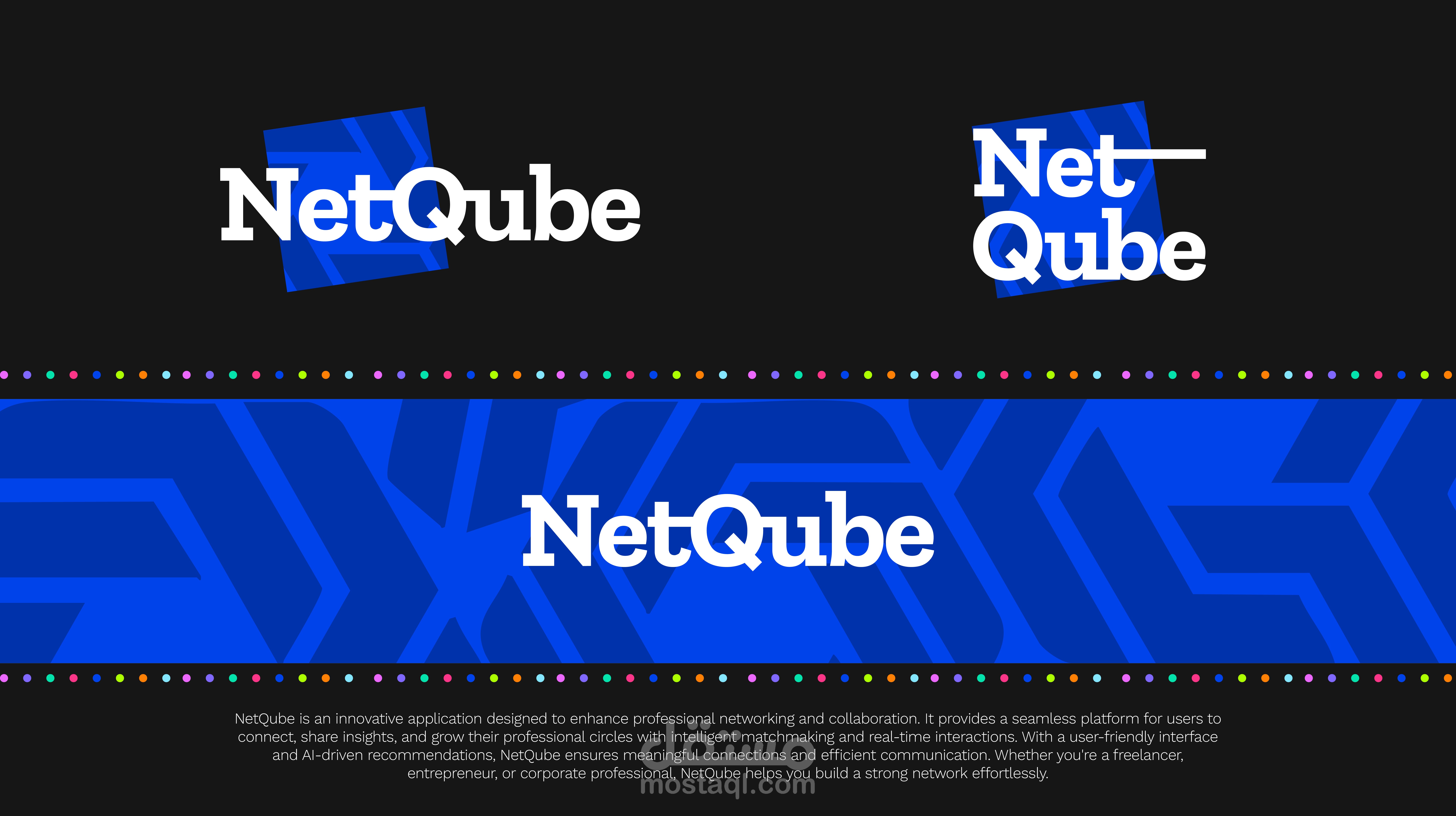 NetQube Logo