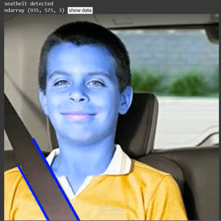 seat belt detection