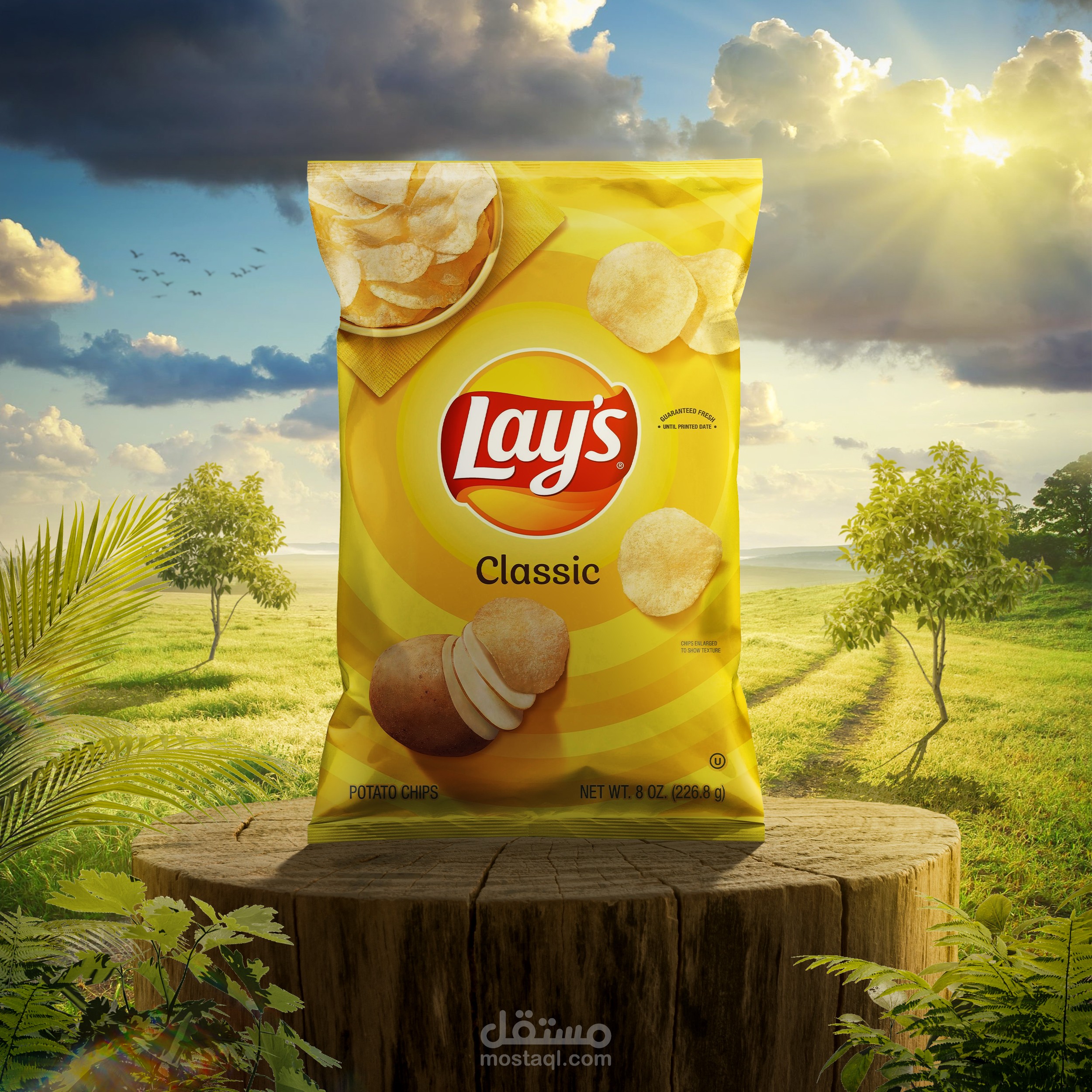 استمتع بالطبيعة مع Lay's Chips