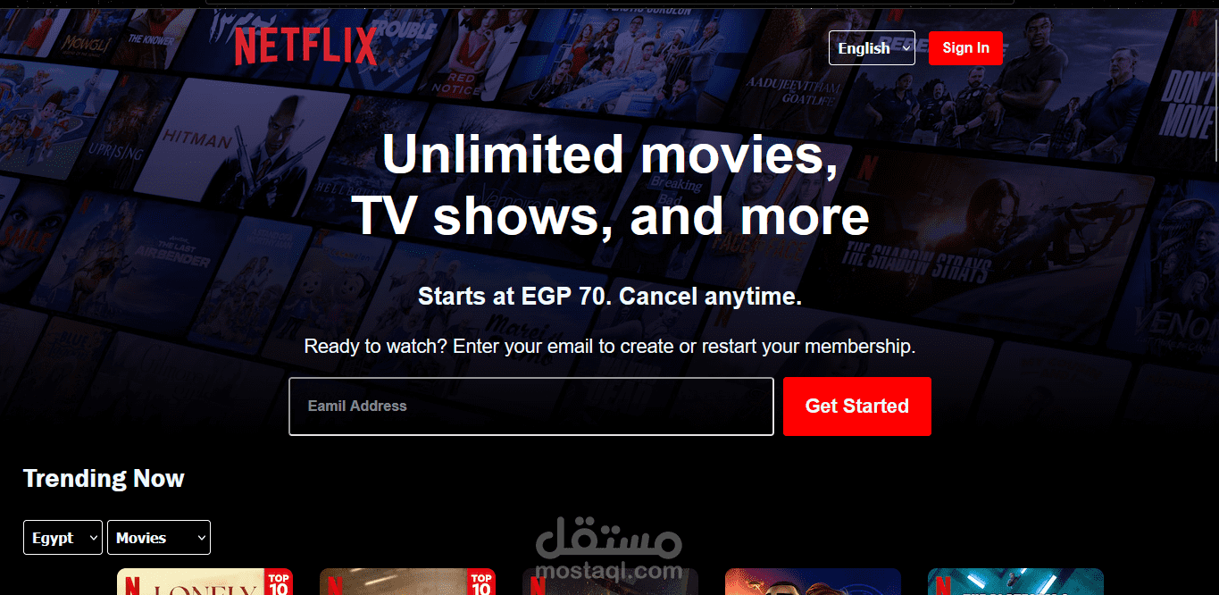 نسخة مقلدة لصفحة Netflix الرئيسية