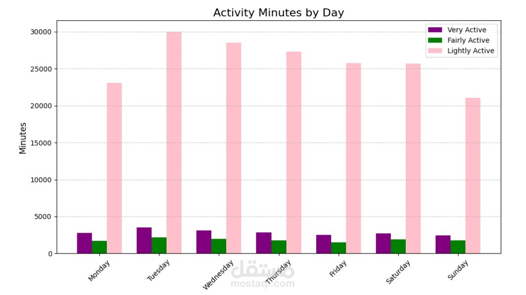 Smartwatch Data Analysis