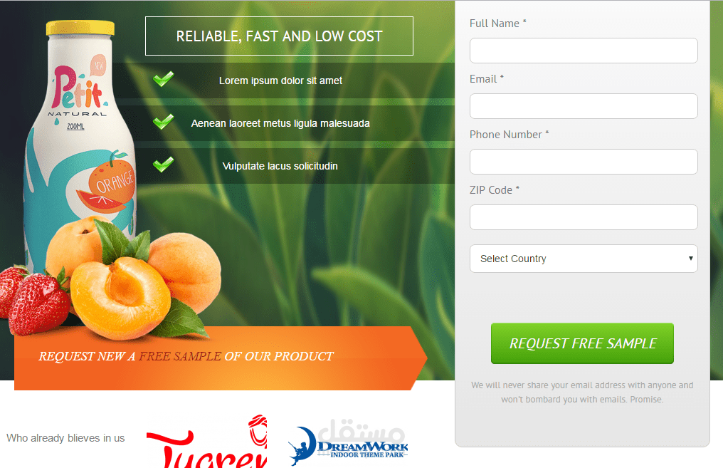 Approach Landing Page مستقل