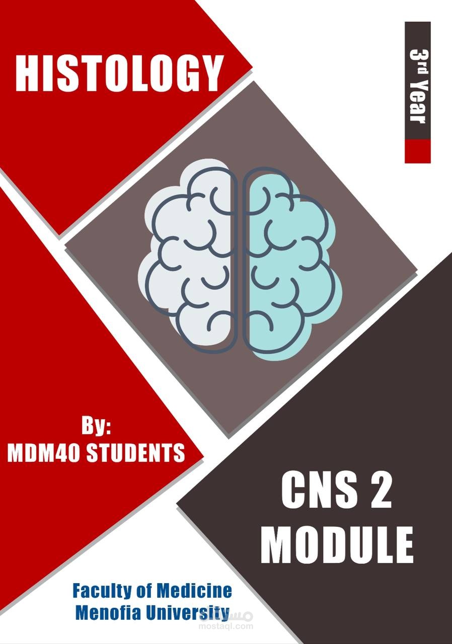CNS Histology