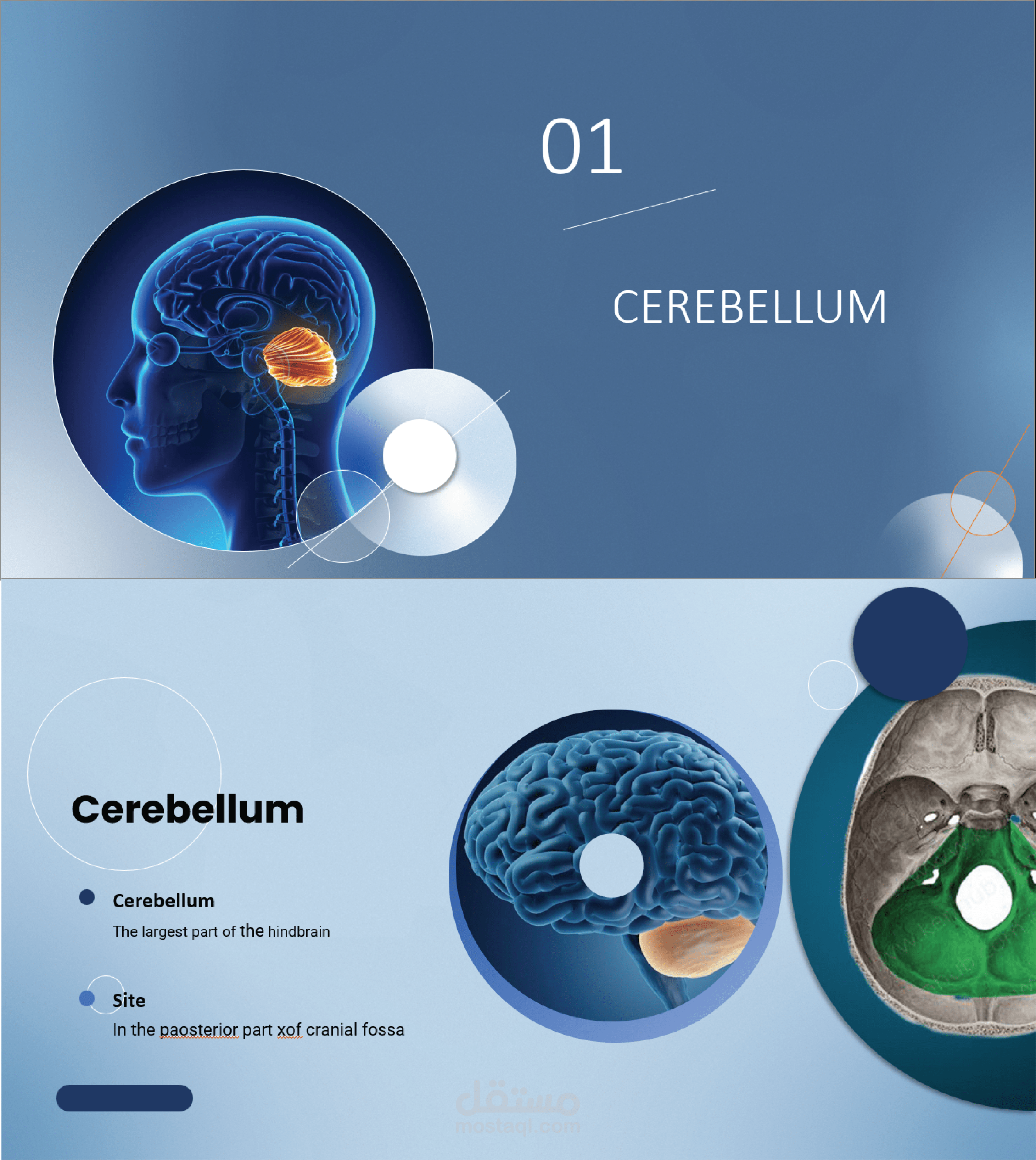 عرض PowerPoint