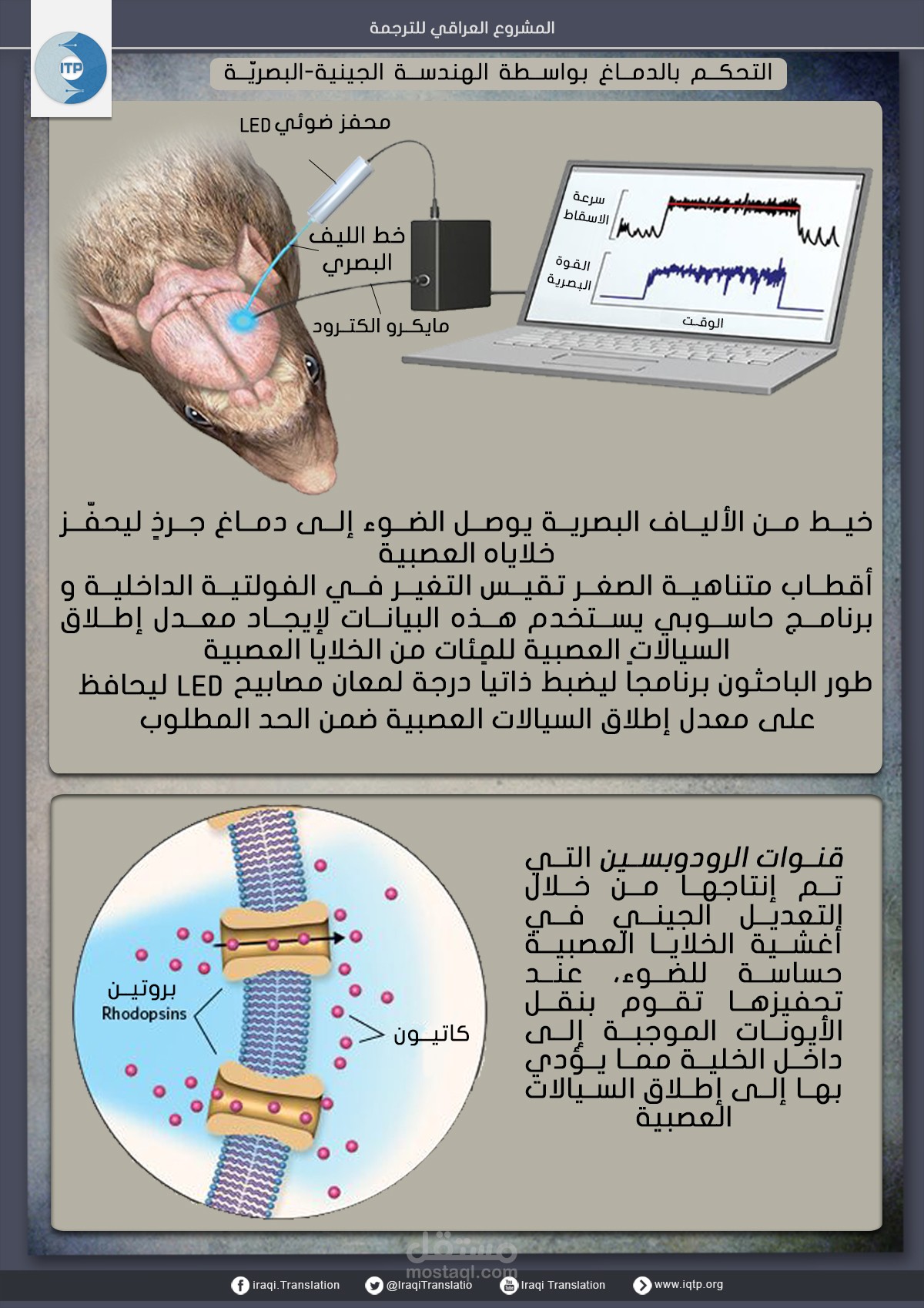 التحكم بالدماغ