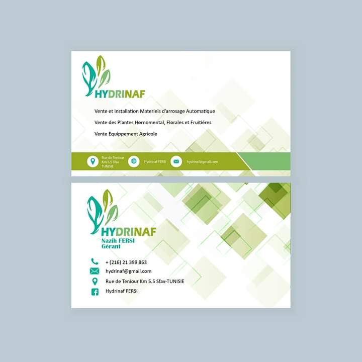 Card visite and logo