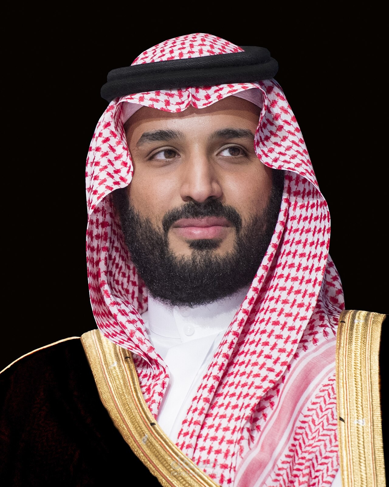 الأمير محمد بن سلمان
