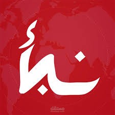 اختبار شامل لتطبيق نبأ الإخباري: بناء حالات اختبار، كشف الأخطاء، وضمان تجربة مستخدم سلسة