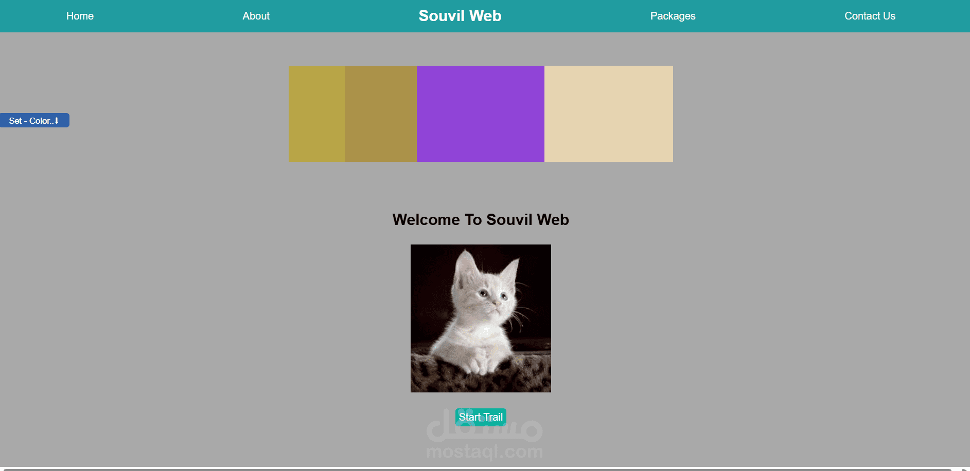 Web Pages