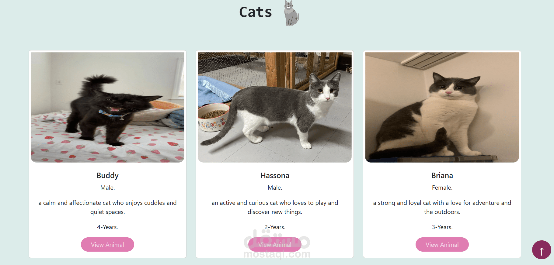 Pet Adoption website (without database)