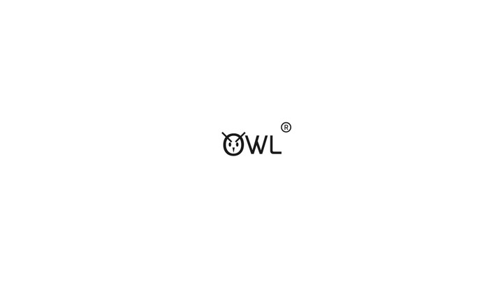 owl - logo design