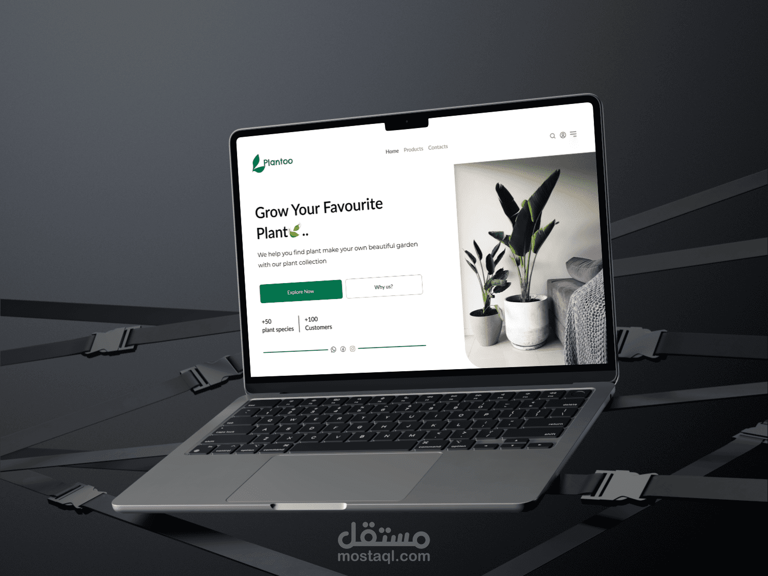 تصميم صفحة هبوط لموقع خاص ببيع النباتات ( Plantoo )