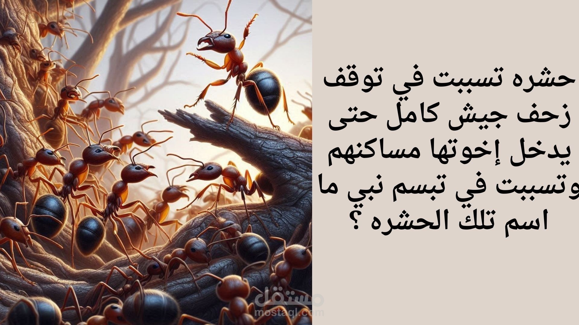 ما بين القرآن والسنه نهتدي