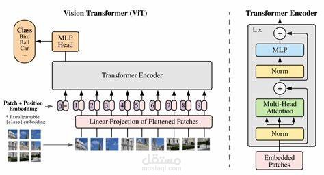 ViT Image Classifier
