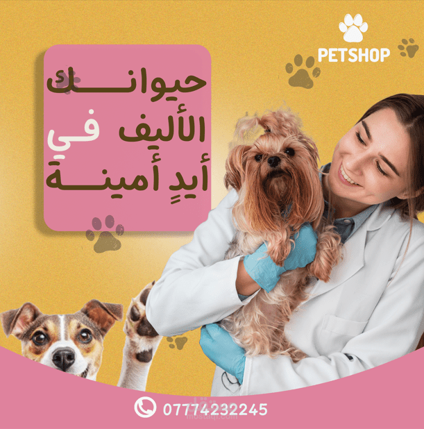 pet social media post