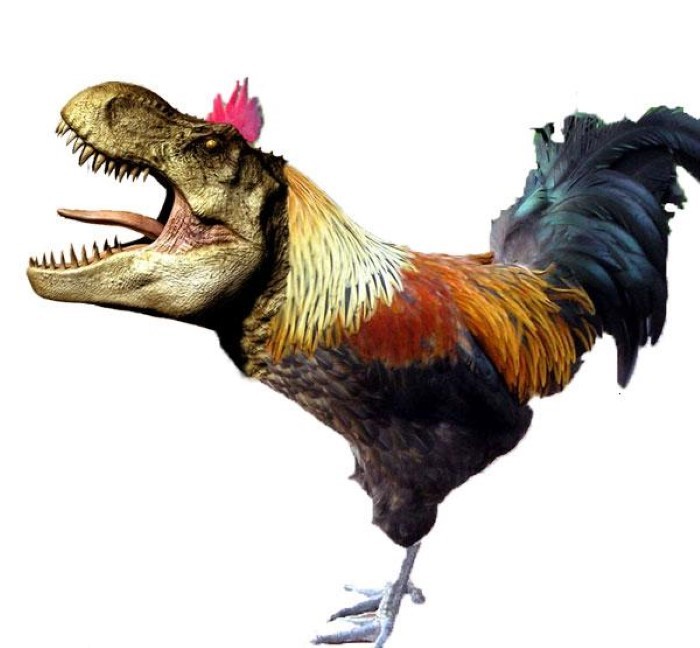 ١٠ حقائق غريبة عن الديناصورات