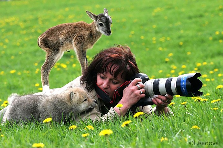 24 سبب يجعلك تستقيل من مهنتك وتعمل كمصور للحياة البرية