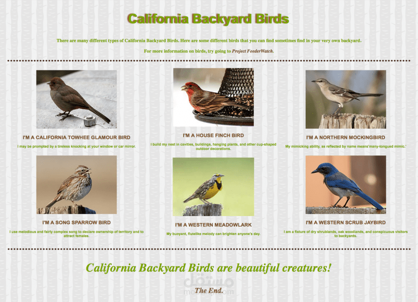 interface by using html , css