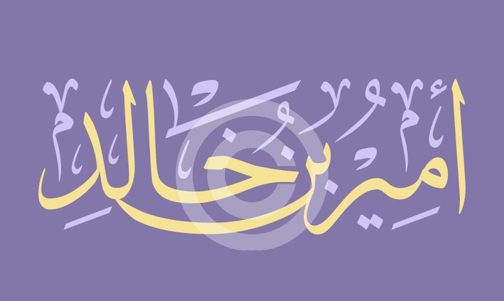 مخطوطة أمير بن خالد